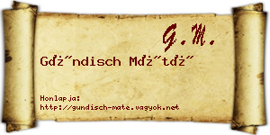 Gündisch Máté névjegykártya